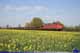 Railion DB Logistics 140 043-1 in bei Friedland (Han)